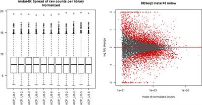 Differential gene expression of Asian citrus psyllids infected with ‘Ca. Liberibacter asiaticus’ reveals hyper-susceptibility to invasion by instar fourth-fifth and teneral adult stages